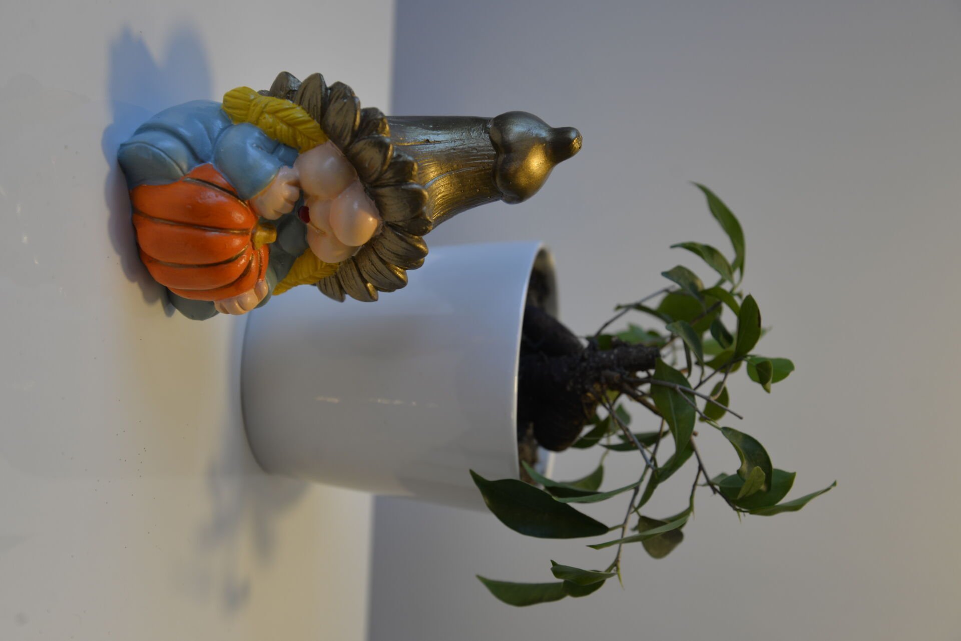 HASAT YAPAN CÜCE KABAKLI